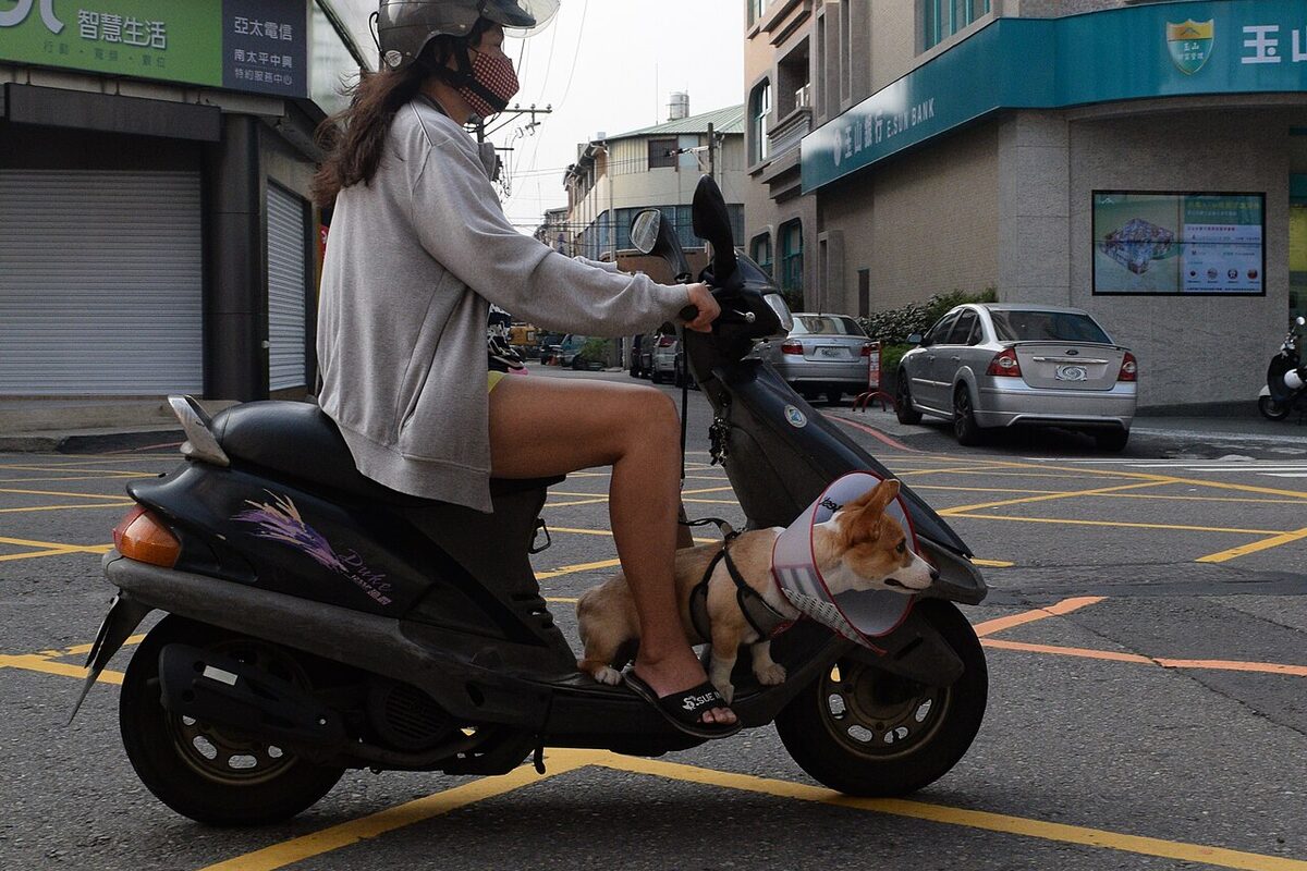 Learning Scooty: A Guide for Women Riders